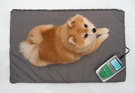 Magnetfeldtherapie-Matte für Tiere – Zubehör zum MagnetoVet 200 - 0