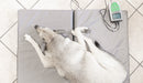 Magnetfeldtherapie-Matte für Tiere – Zubehör zum MagnetoVet 200-1