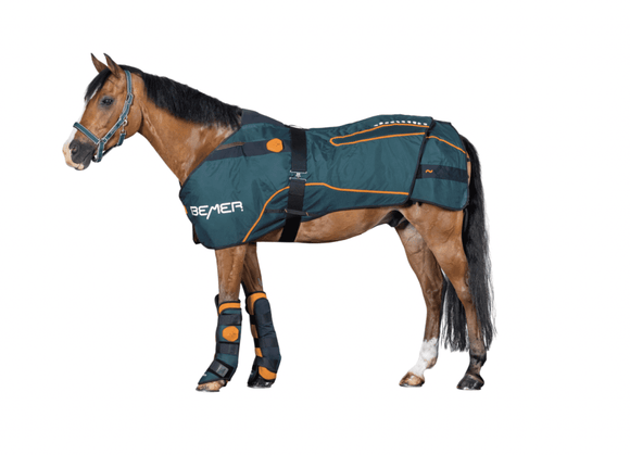Bemer-Horse-Set