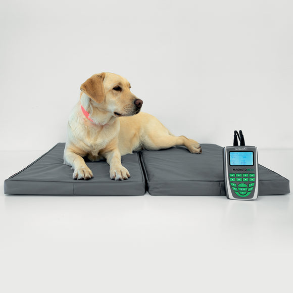 Magnetfeldtherapie-Matte für Tiere – Zubehör zum MagnetoVet 200