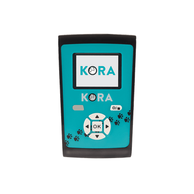 Kora