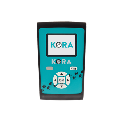 Kora
