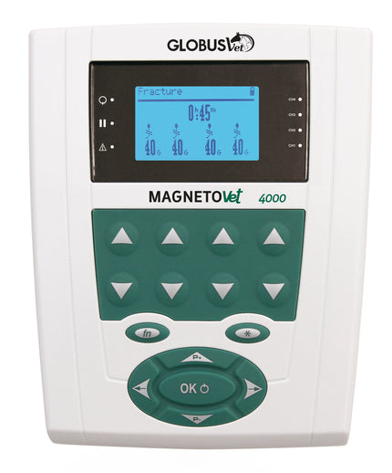 MAGNETOVet-4000