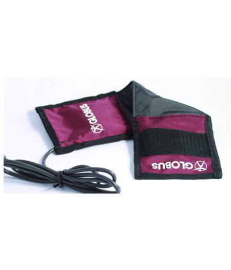 MagnetoVet 4000 mieten