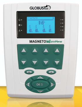 MagnetoVet 4000 Horse Pro – Professionelles Magnetfeldtherapie-Set für Pferde - 0