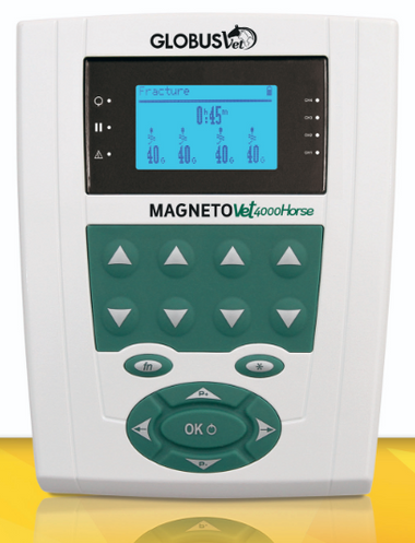 MagnetoVet 4000 Horse Pro – Professionelles Magnetfeldtherapie-Set für Pferde - 0