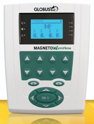 MagnetoVet 4000 Horse Pro – Professional magnetic field therapy system for horses - 0