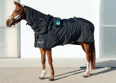 MagnetoVet 4000 Horse Pro – Professional magnetic field therapy system for horses