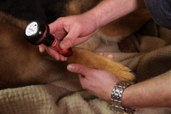 laserbehandlung-tendinitis-hund