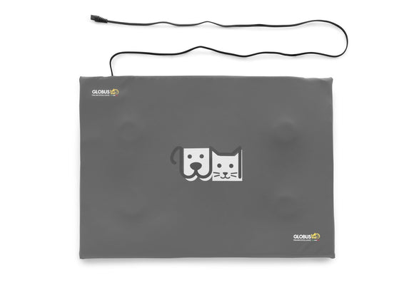 MagnetoVet 200 with mat - magnetic field therapy device for animals