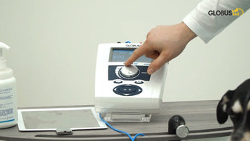 tecarvet-4000