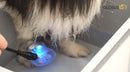 Leihgebühr für UltrasoundVet 4000 - Ultraschallgerät für Klein- und Großtiere-3